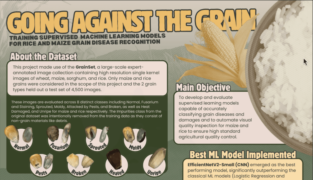 Grain Disease Vision Model